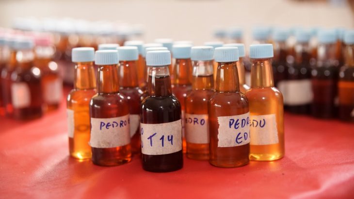 Atualmente, são produzidas cerca de oito colorações de mel, em Roraima - Foto: Divulgação