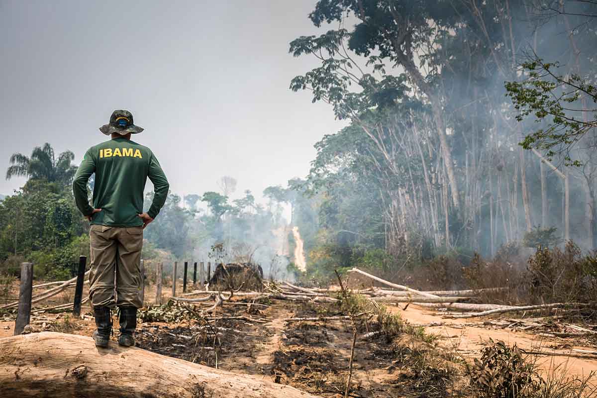 Fiscais do Ibama podem ser exonerados após operação contra garimpo na Amazônia