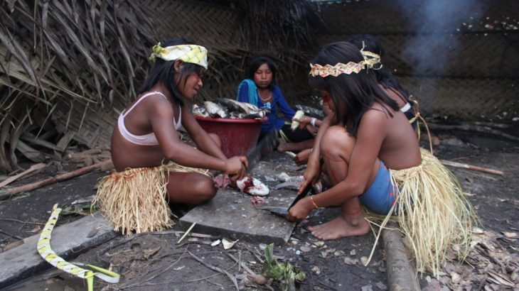 Por conta da precariedade e distância das grandes cidades, indígenas podem sofrer com novo Coronavírus. Foto: Reprodução/ Conselho Indigenista Missionário