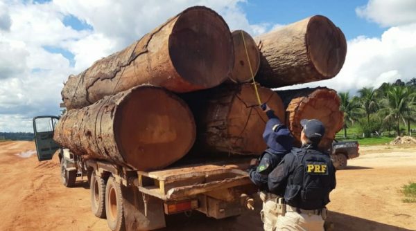 Madeira clandestina é apreendida pela PRF na região da Amazônia Legal