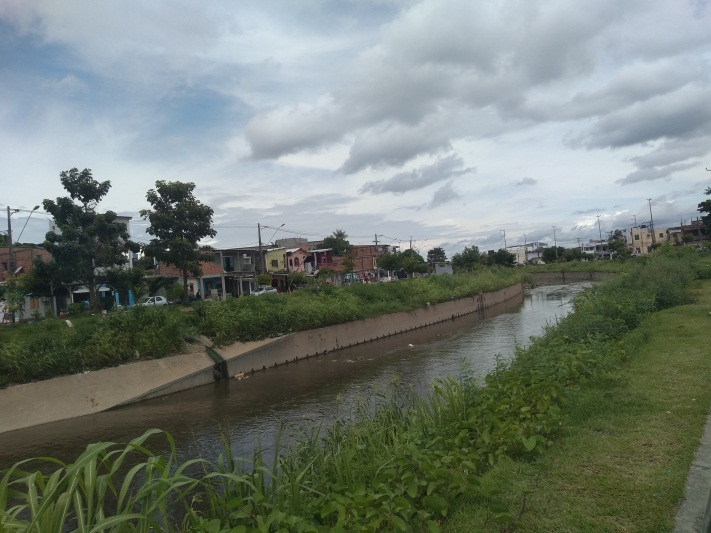 Igarapé da Bacia do Quarenta (Foto: José Coutinho/Ambientalista)