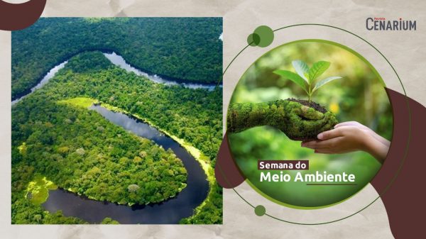 ‘A humanidade ainda não cuida do Meio Ambiente como deveria’, afirma ambientalista do Amazonas