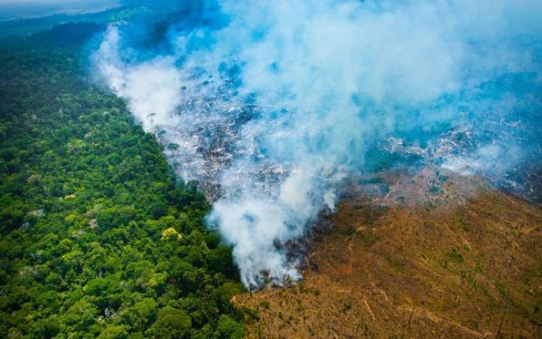 Amazonas ocupa 2º lugar entre estados com maior área sob alerta de desmatamento do País, aponta INPE