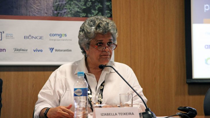 Ex-ministra do Meio Ambiente (2010-2016) Izabella Teixeira (Divulgação/FundaçãoFHC)