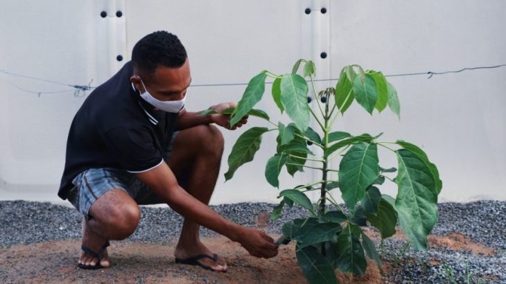 Irving cultiva sua muda em frente a unidade habitacional no abrigo Rondon 2, em Boa Vista, Roraima. - Foto: (ACNUR/Lucas Novaes)
