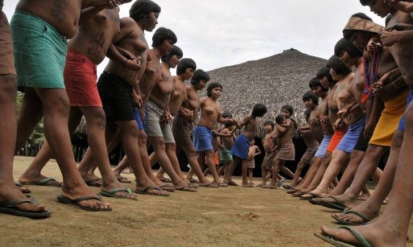  As entidades dizem que as medidas tomadas por Bolsonaro promoveram a incitação ao cometimento de genocídio contra os povos indígenas (Terceir/ Waimiris Atroaris)