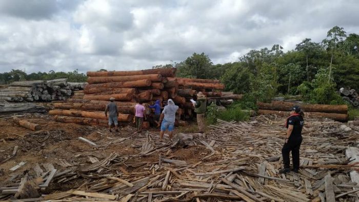 Ex-presidentes do BC assinam carta contra desmatamento por temer boicote internacional