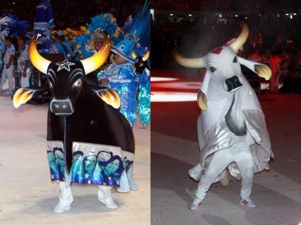 Governo do AM só deve realizar Festival de Parintins após aval científico