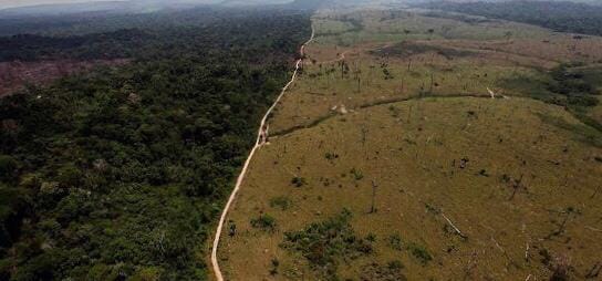 Mineração ilegal na Amazônia; recorde de desmatamento e bolsa estudantil são destaques