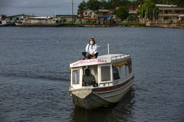 Apreensão de madeira ilegal cresce 500% no AM; fake news e relato médicos são destaques