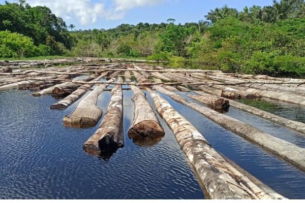 Madeira ilegal é apreendida por batalhão ambiental em Manacapuru AM