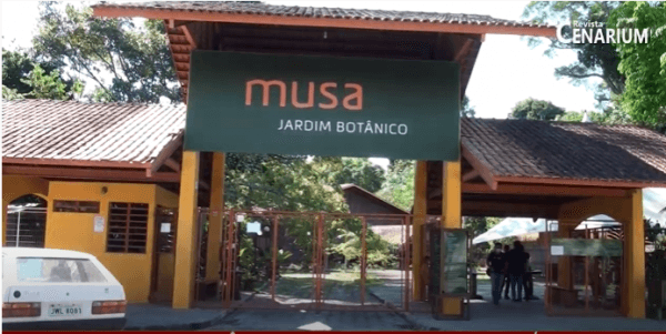 Conheça o Museu da Amazônia: um lugar de encantos e mistérios em Manaus