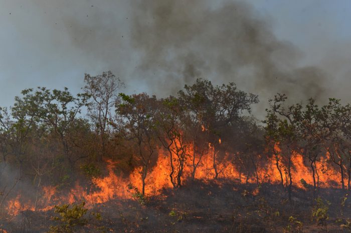Militar assume unidade de combate a incêndios após saída de técnico do Ibama
