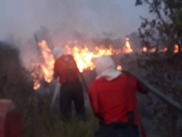 Queimadas urbanas propagam incêndios no verão da região Amazônica