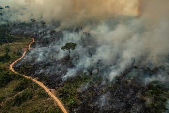 Altamira é uma das cidades da Amazônia Legal que possui maior índice de queimadas. (Victor Moriyama/ Greenpeace)