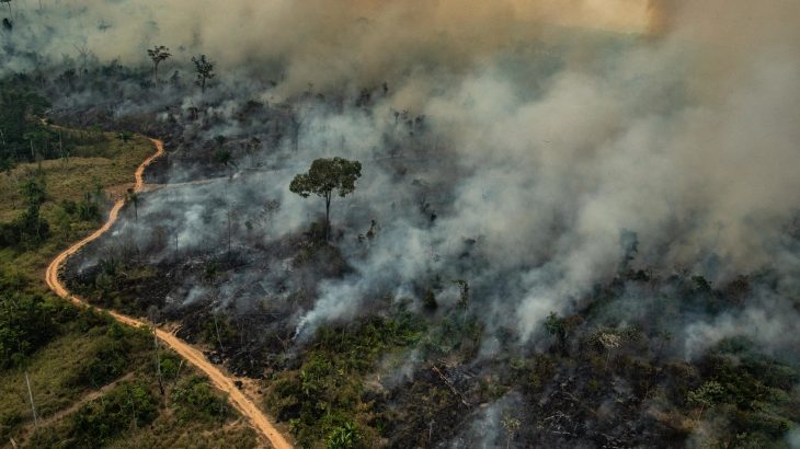 Altamira é uma das cidades da Amazônia Legal que possui maior índice de queimadas. (Victor Moriyama/ Greenpeace)