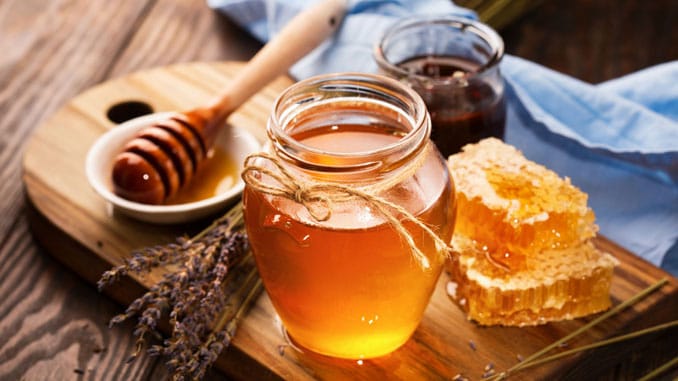 Pandemia impulsiona procura por mel de abelhas nativas da Amazônia Legal