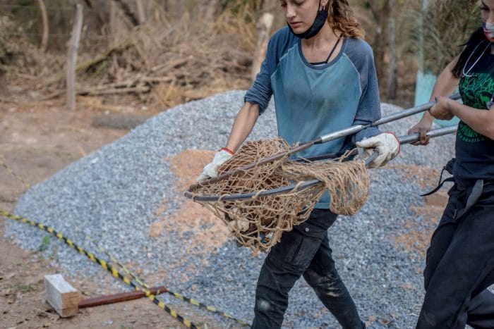 Cenarium no Pantanal: ‘A misericórdia de uma raça que ainda é humana’