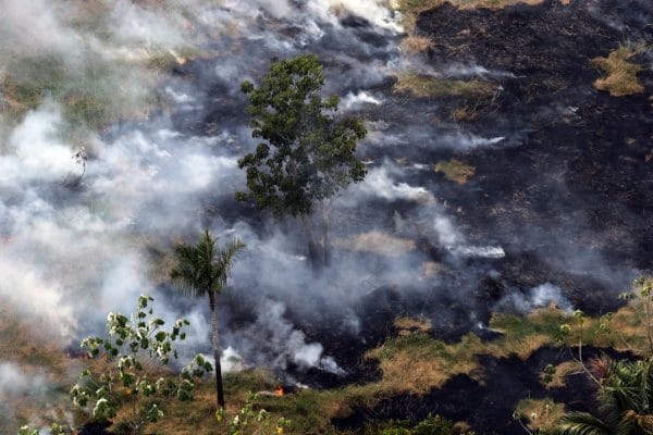 Amazônia tem segundo pior ‘agosto’ de queimadas nos últimos dez anos, diz Greenpeace