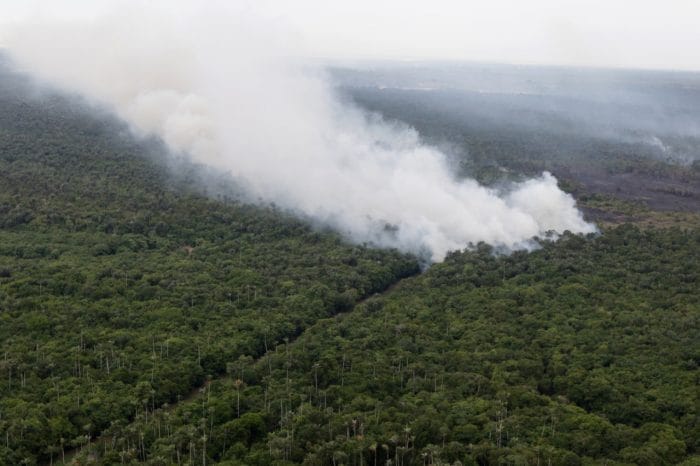 Em carta a Mourão, países da Europa cobram contenção do desmatamento na Amazônia