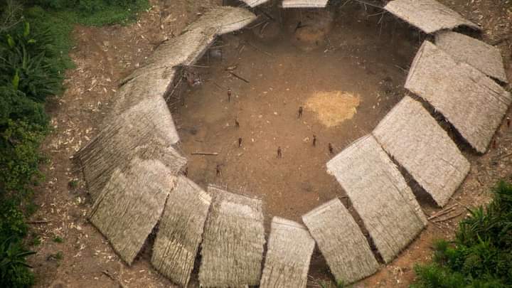 Legenda: Maloca dos Yanomami isolados. Guilherme Gnipper /Funai/Acervo HAY, 2016.