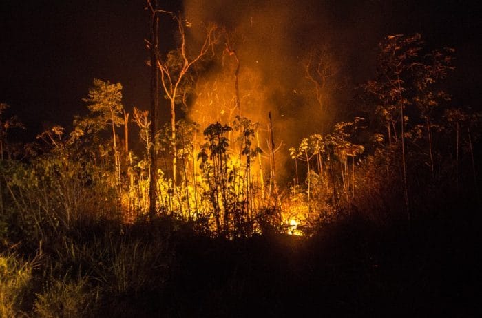 Em 15 dias de setembro, queimadas varrem centenas de árvores na Amazônia