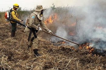 O Pantanal tem atravessado período de queimadas e destruição do bioma (Divulgação/CBMS)