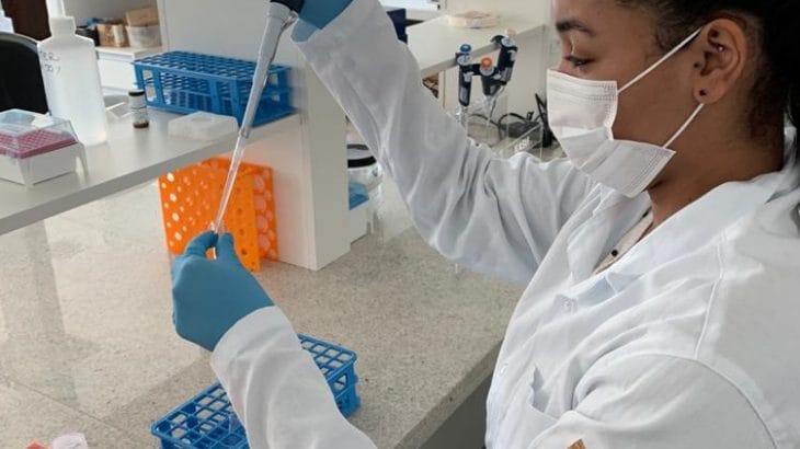 Boletim: Estudo da vacina contra Covid-19; demanda pelo mel e operação da PF