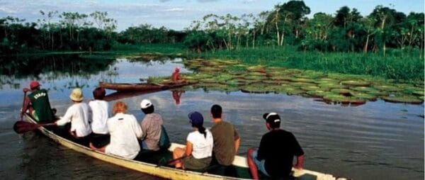 Governo do AM envia projeto para auxílio a profissionais do turismo, cultura e esporte à Aleam