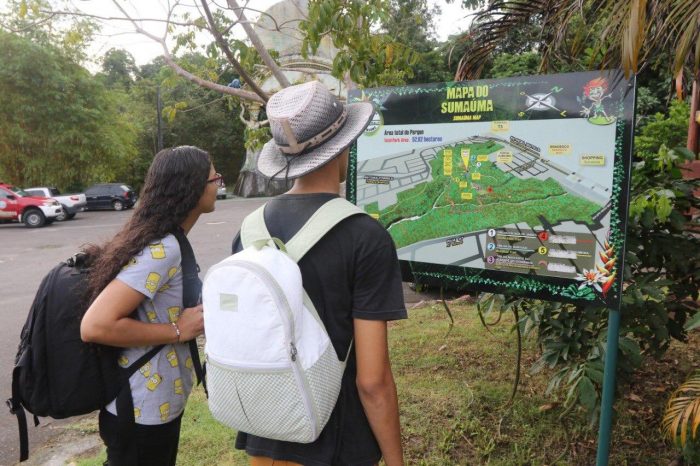 Turismo: parques naturais do Amazonas podem recebem concessão do BNDES