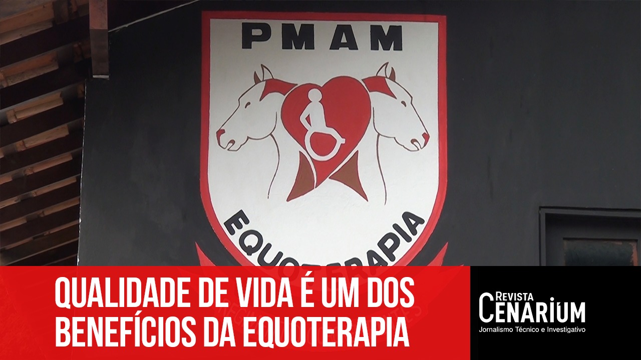 Equoterapia: conheça os benefícios que o método proporciona na vida das pessoas com deficiência
