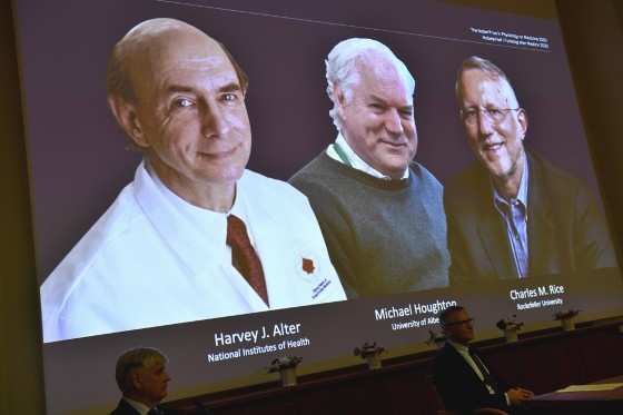 Trio de cientistas responsável por descobrir o vírus da hepatite C ganha Nobel de Medicina