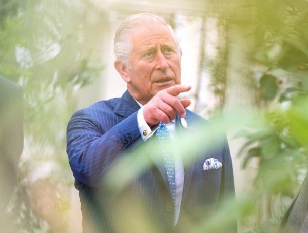 Príncipe britânico Charles quer popularizar sistemas agroflorestais com ajuda de brasileiros