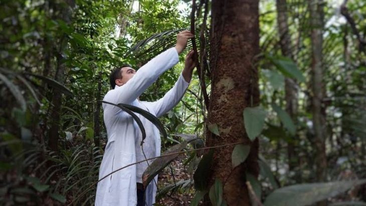 Pró-reitores de Instituições de ensino da Amazônia Legal, reivindicam mais atenção do Ministério da Educação sobre pesquisas em Ciência e Tecnologia na região (Reprodução/Instagram)