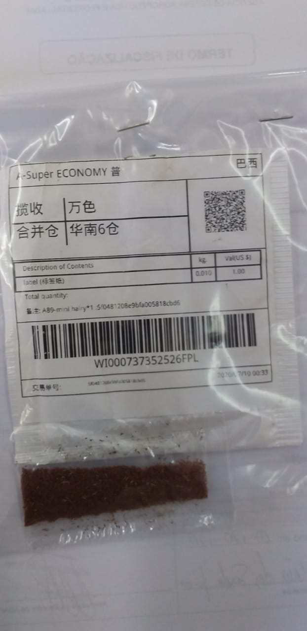 No AM, Agência registra remessa de primeiras sementes oriundas de países asiáticos