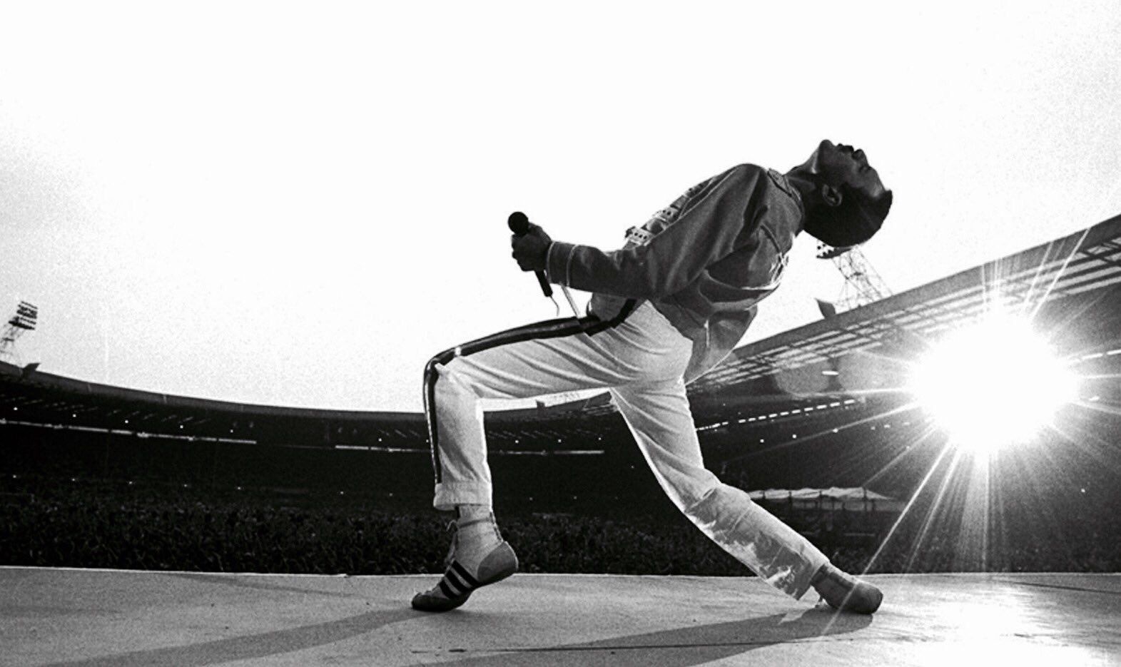 ‘Legado imortal’: morte do artista Freddie Mercury completa 29 anos nesta terça