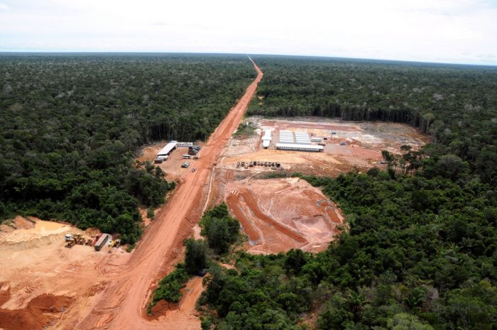 Abertura de estradas na Amazônia pode desmatar milhões de hectares, diz relatório