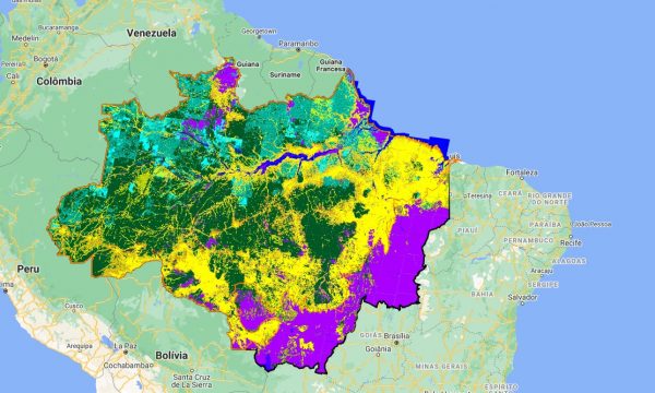 As informações são destacadas mensalmente no site da plataforma. (Reprodução/INPE)