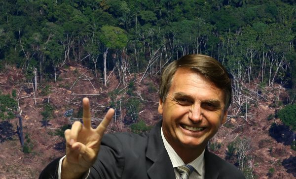Pesquisa do jornal Folha de S. Paulo diz que 46% dos brasileiros acham Bolsonaro péssimo para Amazônia