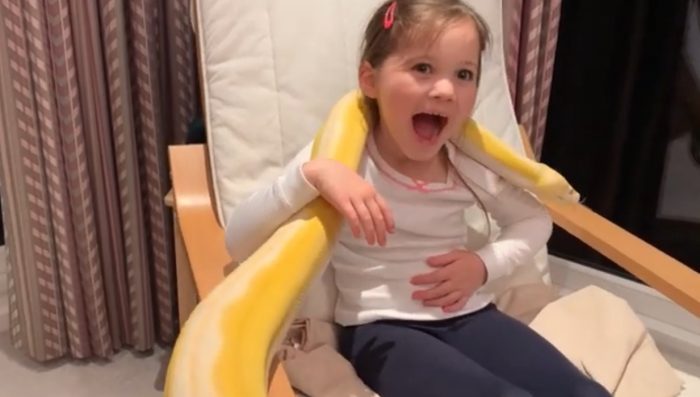 Vídeo: garotinha de oito anos brinca com enormes cobras pítons de 4,5 metros em canal do Youtube