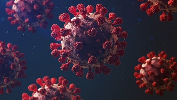 Ministério da Saúde confirma primeiro caso de reinfecção pelo novo Coronavírus no Brasil