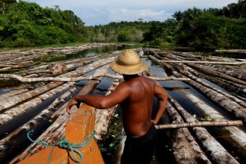 Operação conjunta da Polícia Federal e do Ministério Público Federal é a maior já feita sobre o mercado ilegal da madeira na Amazônia (Ricardo Oliveira/Revista Cenarium)