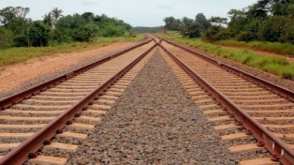 Ambientalista avalia os impactos de ferrovia que governo federal vai construir na Amazônia
