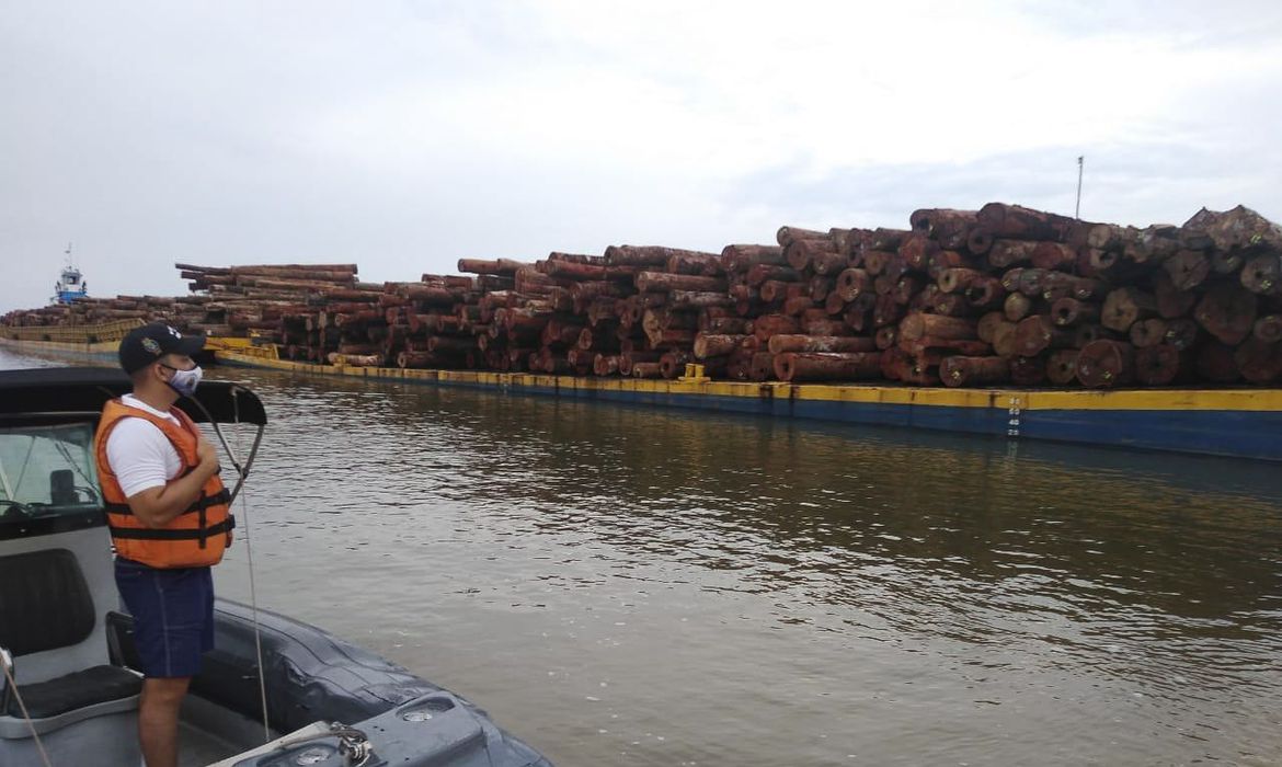 Operação Verde Brasil 2 apreende madeira no Pará