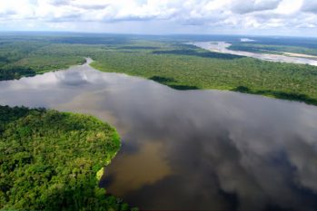 Estudo mostrou que terras férteis na Amazônia foram formadas por processos naturais (Reprodução)