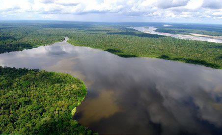 Estudo mostrou que terras férteis na Amazônia foram formadas por processos naturais (Reprodução)