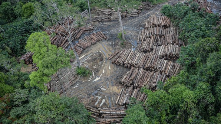 Desmatamento na Amazônia (Felipe Werneck/Reprodução)