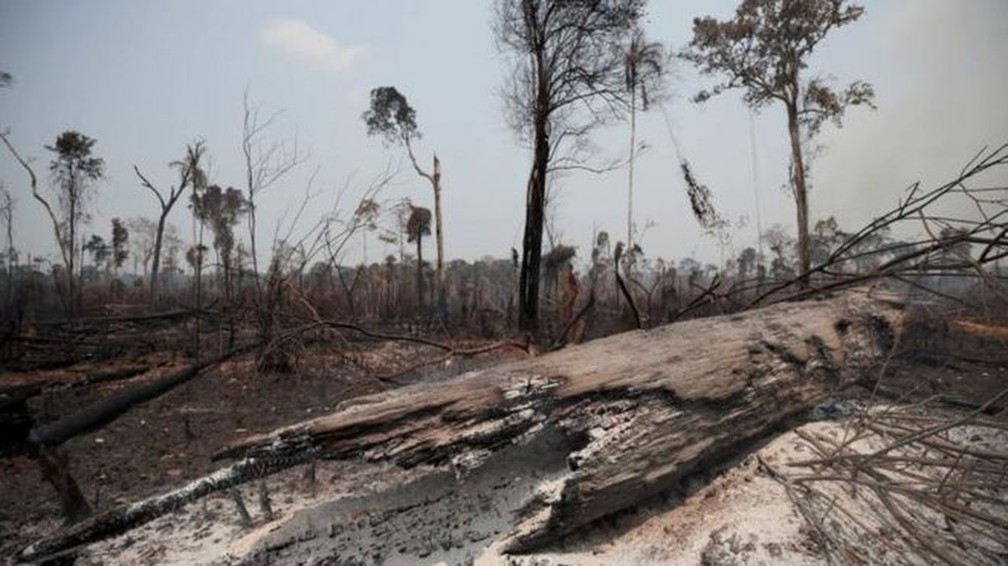 Desmatamento na Amazônia bateu recorde nos alertas de desmatamento em outubro de 2020 (Reuters)