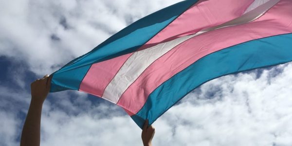 Relatório aponta que Brasil ainda é o País onde pessoas trans mais morrem no mundo