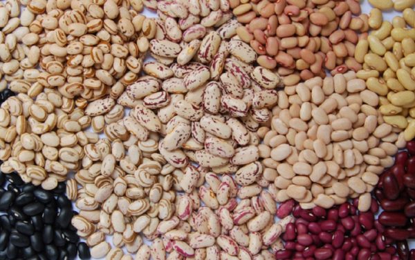 Nível de agrotóxico encontrado no feijão pode ser maior do que em 2015, diz pesquisa